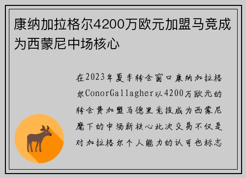 康纳加拉格尔4200万欧元加盟马竞成为西蒙尼中场核心